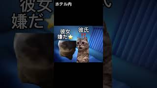 彼氏との衝撃の出会い【猫ミーム】