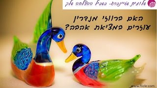 פנג שואי- האם כדאי להציב זוג ברווזי מנדרין כדי למגנט אהבה?!