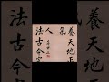 蔣中正 書法 20 shorts