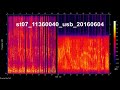 st07 11360 khz usb 20160604