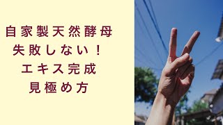 【自家製天然酵母】もうこれで失敗しない！酵母エキスの出来上がりの見極めポイント　フルーツ酵母　自家製天然酵母　パン教室　教室開業　大阪　奈良　東京　福岡　名古屋