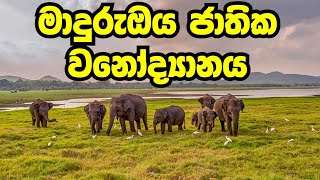 මාදුරුඔය ජාතික වනෝද්‍යානය