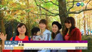 秋日限定美景 南投杉林溪楓紅絕美｜華視新聞 20201119