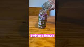 Echinacea Tincture is powerful medicine #wellness #echinacea #antivirus #harvestmoon