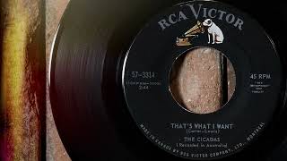 The Cicadas - That's What I Want  ...1964