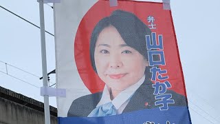 日本第一党千葉県本部 🇯🇵✨政策周知街宣@茂原市