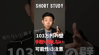 【要確認】年収103万円の壁が引き上げられても手取りはあまり増えない？その仕組みをズバリ解説!! #shorts