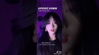 Upside Down -翻唱-抖音