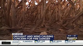 Drought and wind causing concern over fire danger