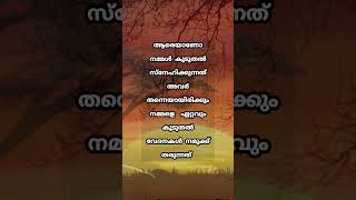 ആരെയാണ് നമ്മൾ കൂടുതൽ സ്നേഹിക്കുന്നത് അവർ തന്നെയായിരിക്കും #വിരഹം #സ്നേഹം #പ്രണയം #ഇഷ്ടം #ജീവിതം