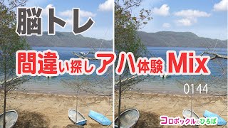 【間違い探し/進化系】画像の一部が変化する脳トレクイズ　動体視力と集中力をトレーニングして健康寿命を延ばそう