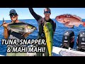 Catching Bottom Fish, Tuna, and Mahi Mahi