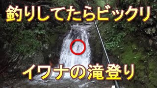 飛騨高山で渓流釣り　益田川上流でイワナの滝登りを見ることができた！！