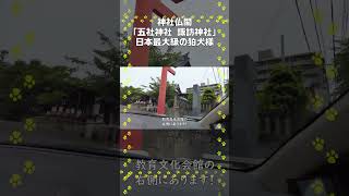 ①神社仏閣【五社神社 諏訪神社】日本最大級の狛犬様！#五社神社 #諏訪神社 #浜松市 #金運アップ #神社仏閣 #静岡 #パワースポット #Shorts