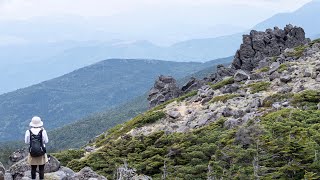 北八ヶ岳日帰り登山、白駒池Shirakoma pond to 東天狗岳Tengu dake 2023.06.10