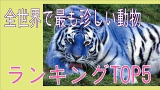 全世界で最も珍しい動物ランキングTOP5