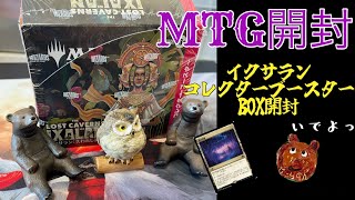 [MTG]イクサラン:失われし洞窟コレクターブースターBOX開封くま