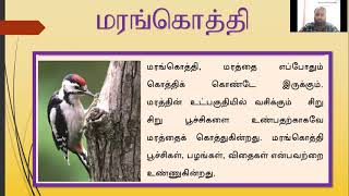 தமிழ்/தரம்3/ அலகு 7/தெரிந்து கொள்வோம்/தரம் 3/4 /5/ TAMIL/GRADE 3/புலமைப்பரிசில் பரீட்சை/ GRADE 3/4/5