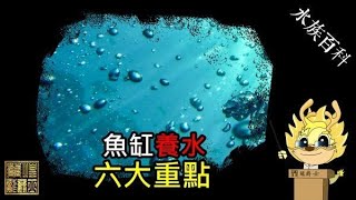 【龍爵士】水族百科 魚缸養水六大重點