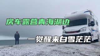 房车露营青海湖边，一觉醒来下雪了，大片海鸥围在车边求食太美了