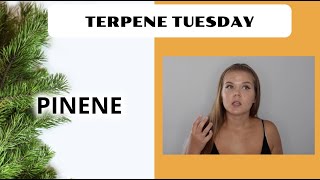 Pinene Terpene Effects | Terpene Tuesday (Epi.3)