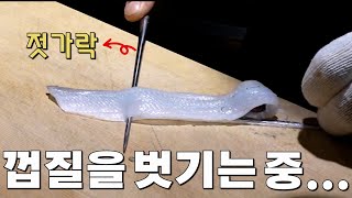 학꽁치 낚시 그리고 고오급지게 회뜨는 방법 [박과장TV]