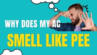 Is Your AC Hiding a Dirty Secret? Find Out Why It Stinks of Pee!