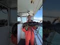One of the biggest lobsters we’ve caught!