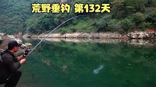 荒野垂钓第132天，随便打个窝子都能钓五条野生鲤鱼，密度太高了