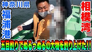 【相模湾】このデカブツの正体はいったい・・・！？