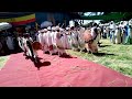 ወረብ ዘጥቅምት መድኃኔዓለም wereb tkmt medhanialem 27 beke mariam be likawut wereb tsekawu tube ፀቃውዕ ቲዩብ