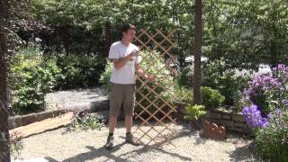 Standard Expanding Timber Garden Trellis