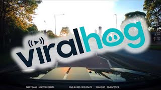 Driver Captures Hit-and-Run Crash on Dashcam || ViralHog