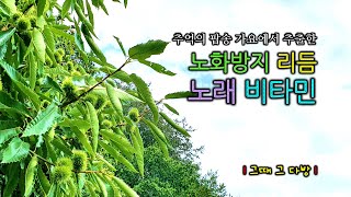 그때 그 노래 | 추억의 팝송 가요 | 노화방지 리듬 - 노래 비타민 | 아하 이문세 로보 이승철 보니엠 이연실 슈가 존-덴버 전영록 엘튼-존 도나-섬머 소방차 김만수 비지스...