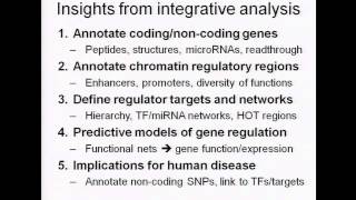 Insights from integrative analysis of the D. melanogaster genome - Manolis Kellis