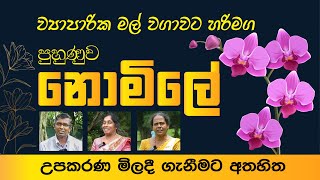 පුහුණුවක් සමග ව්‍යාපාරික මල් වගාවට පිවිසෙන්නේ මෙහෙමයි.