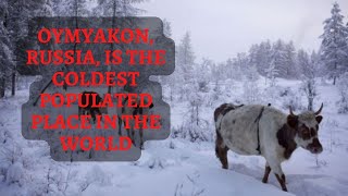 Oymyakon, Russia, is the coldest populated place in the world