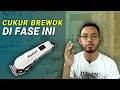 CUKUR BREWOK DI FASE INI || 100% AMAN