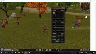 SCARICARE METIN2 SERVER PRIVATO