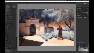 DxO Webinar on the Nik Collection 2 / Digital Infrared Photography