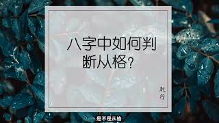 八字中如何判断从格（一）