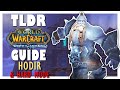 TLDR HODIR Normal + HARD MODE Guide - Wrath Classic ULDUAR Guide