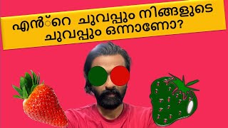 എന്റെ നിറവും നിന്റെ നിറവും ഒന്നാണോ? Is Your color The Same as My color?