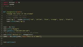 Tkinter: add labels to the window in Python