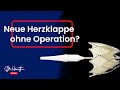 Herzklappenersatz durch die Leistenarterie - die TAVI-Technik | Dr. Heart