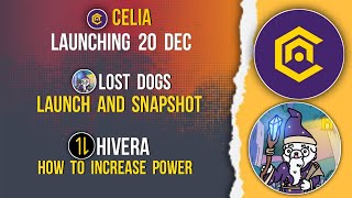 CELIA Launching 20 Dec | LOST DOGS Listing Details | HIVERA Increase Power #celia #lostdogs #hivera