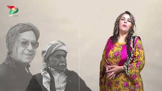 نهێنی پشت گۆرانی(زێنەبێ)ی هونەرمەند محەمەدی ماملێzenabe _mamle #kurdish #kurdishmusic #kurdistan