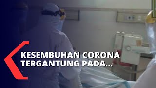 Terkait Pasien Positif Corona yang Dapat Sembuh, Ini Kata Ikatan Dokter Indonesia...