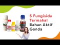 5 Fungisida Termahal Dobel Bahan Aktif Kerja Cepat