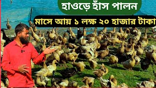 পুকুরে হাঁস পালন। হাঁসের খামার। haser khamar